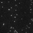 singlemoleculemovie_10Hz.gif